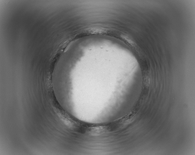 X0000063450411200602101653