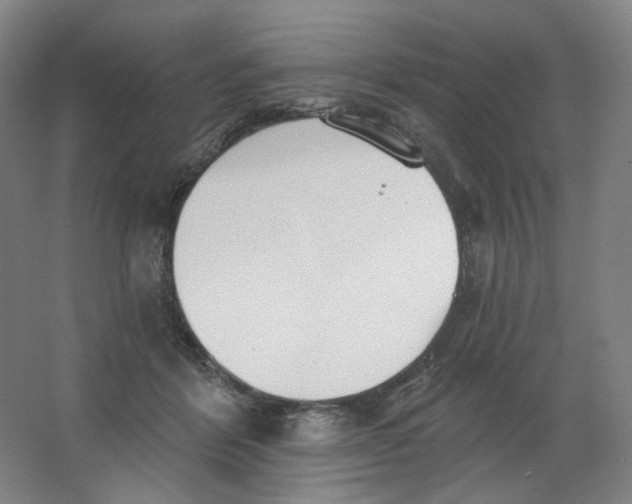 X0000063450412200602101653