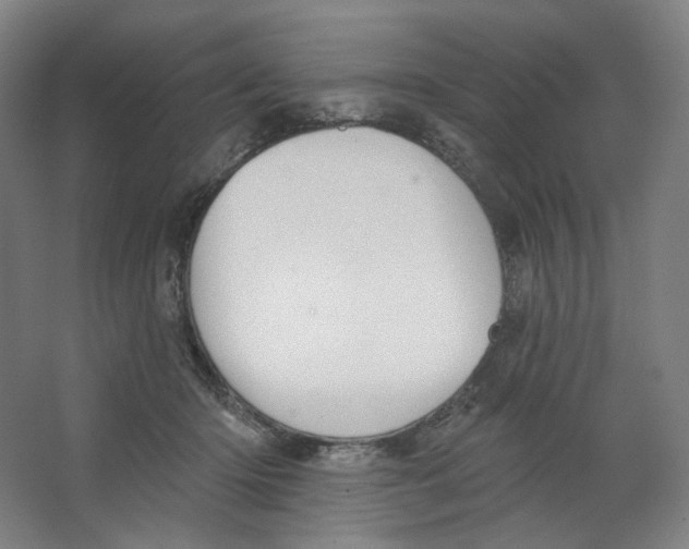 X0000063450414200602101653