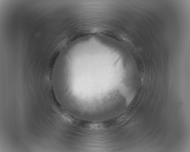 X0000063450415200602101653