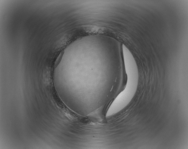 X0000063450416200602101653