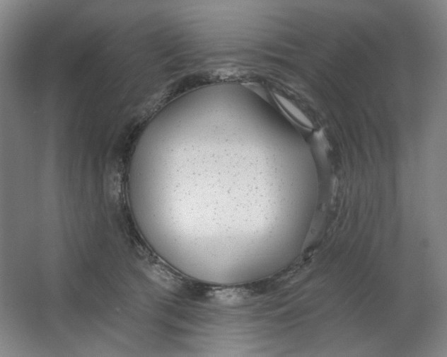 X0000063450417200602101653