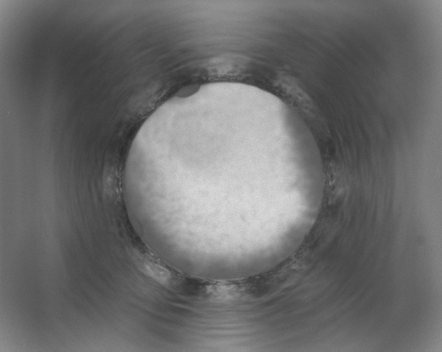 X0000063450419200602101653