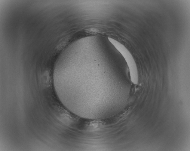 X0000063450420200602101653