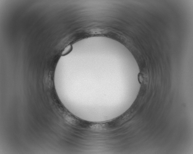 X0000063450422200602101653