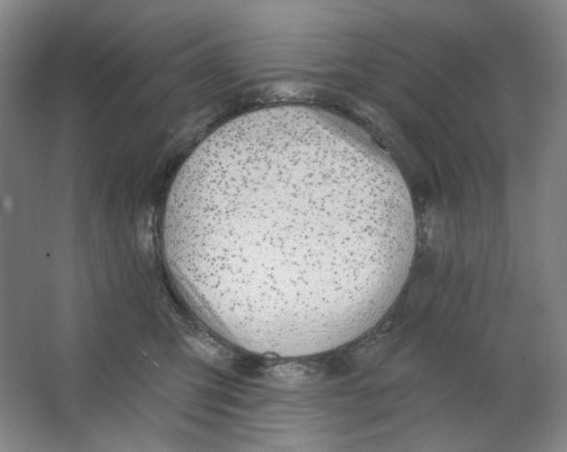 X0000063450423200602101653