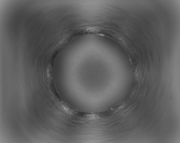 X0000063450424200602101653