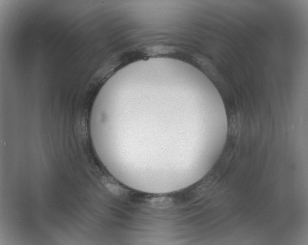 X0000063450426200602101653