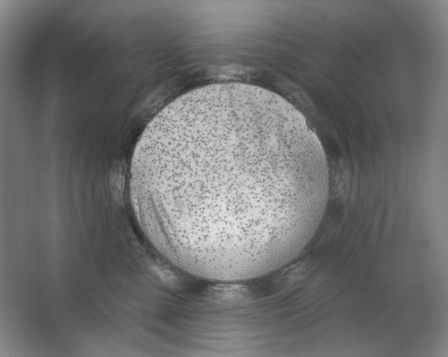 X0000063450427200602101653