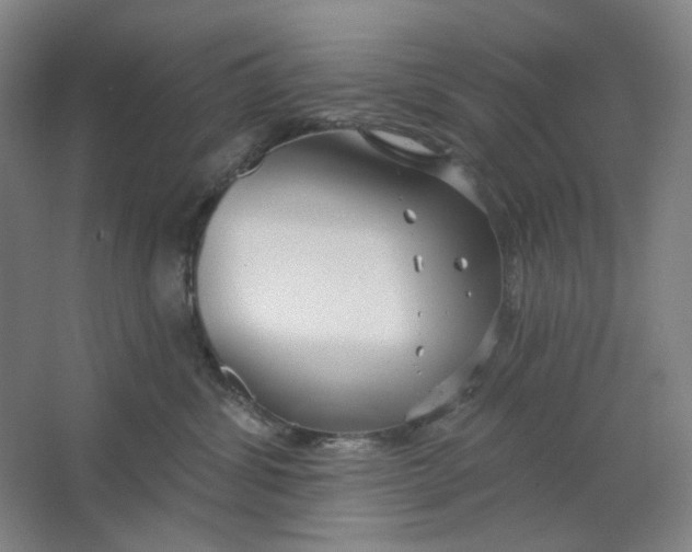 X0000063450428200602101653