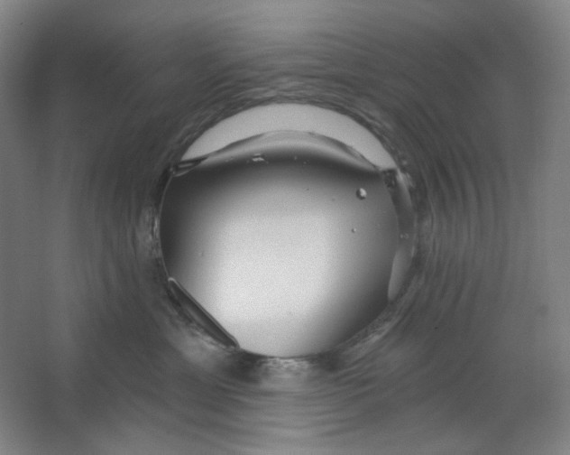 X0000063450429200602101653