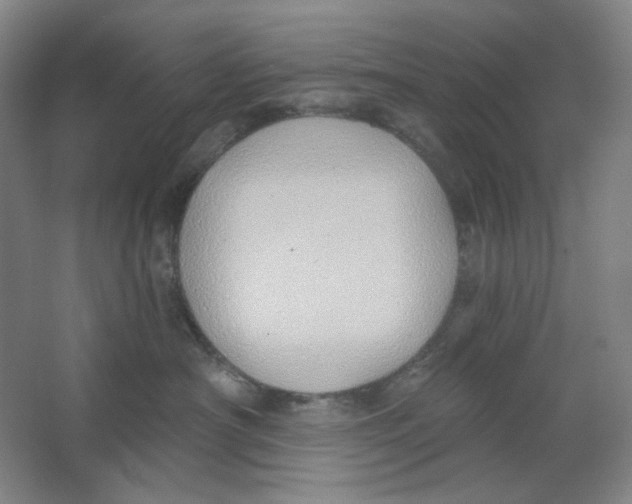 X0000063450430200602101653