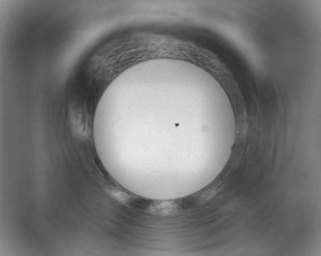 X0000063450431200602101653