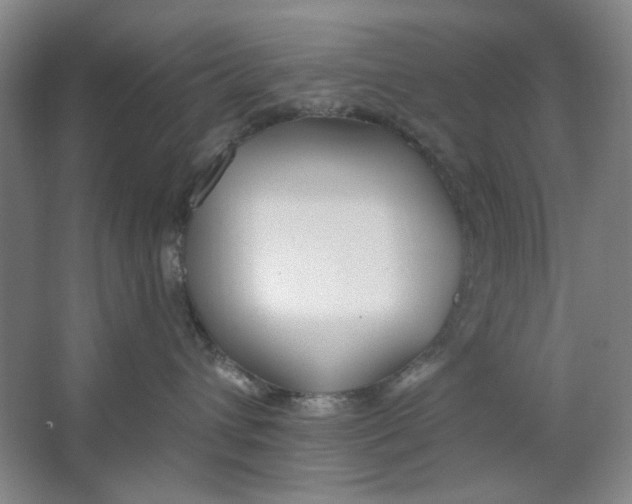 X0000063450432200602101653