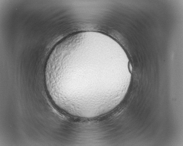 X0000063450433200602101652