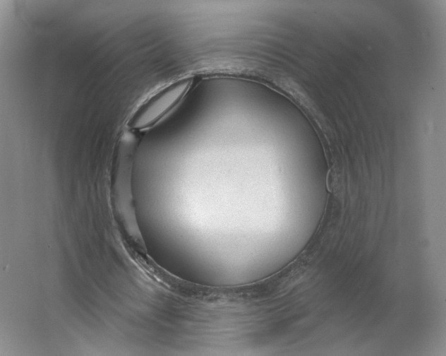 X0000063450434200602101652