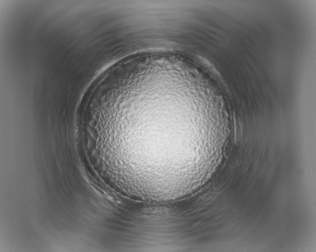 X0000063450435200602101652