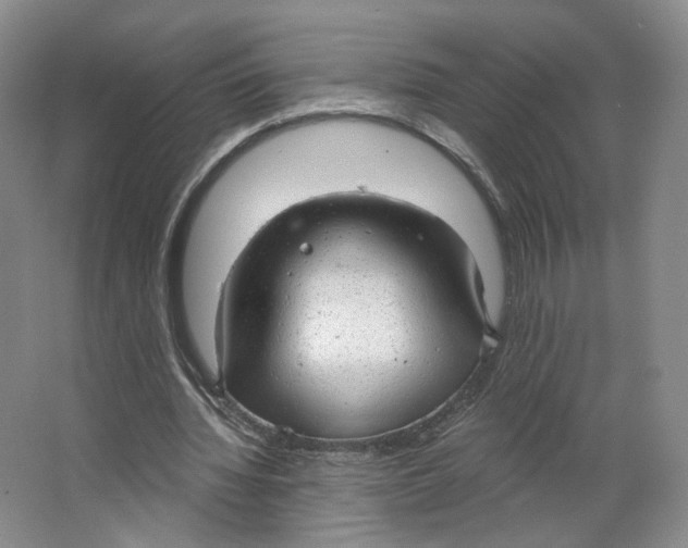 X0000063450436200602101652