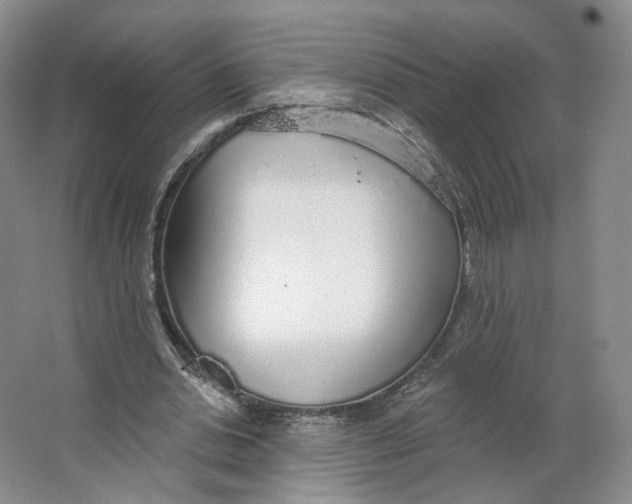 X0000063450438200602101652