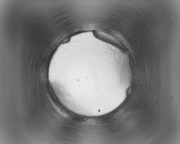 X0000063450441200602101652