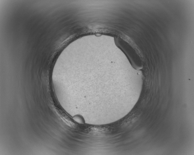 X0000063450442200602101652