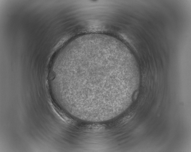 X0000063450443200602101652