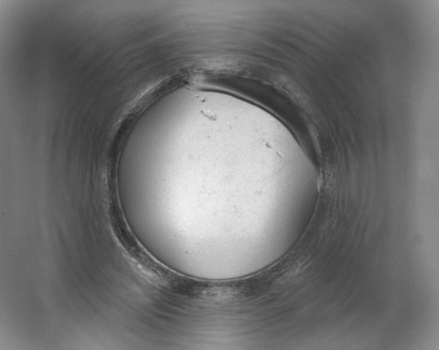 X0000063450444200602101652