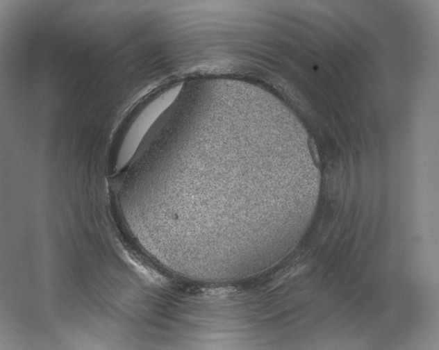 X0000063450446200602101652