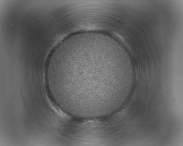 X0000063450447200602101652