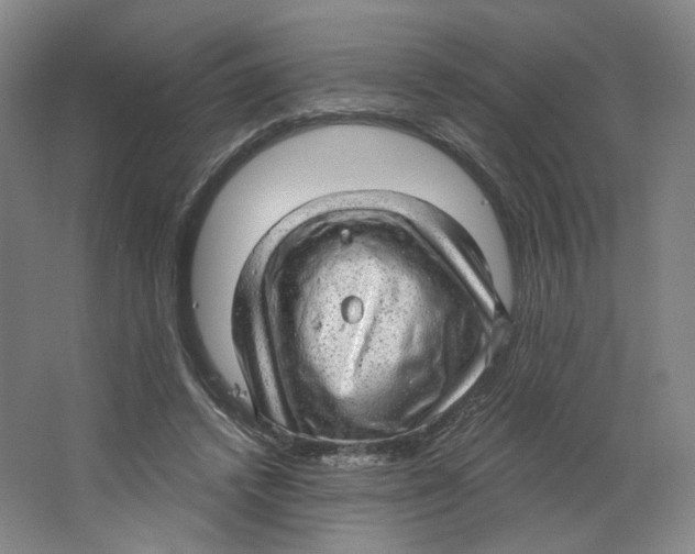 X0000063450448200602101652