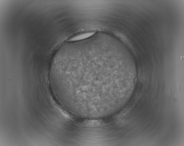 X0000063450449200602101653