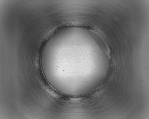 X0000063450450200602101653