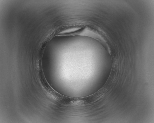 X0000063450452200602101653