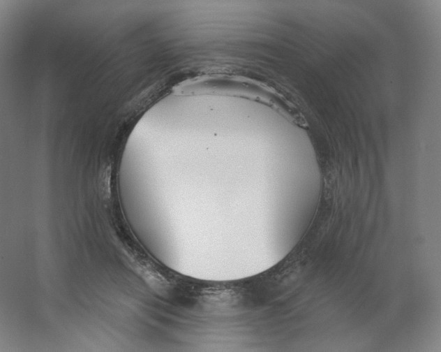 X0000063450454200602101653