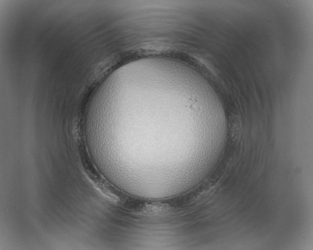 X0000063450455200602101653