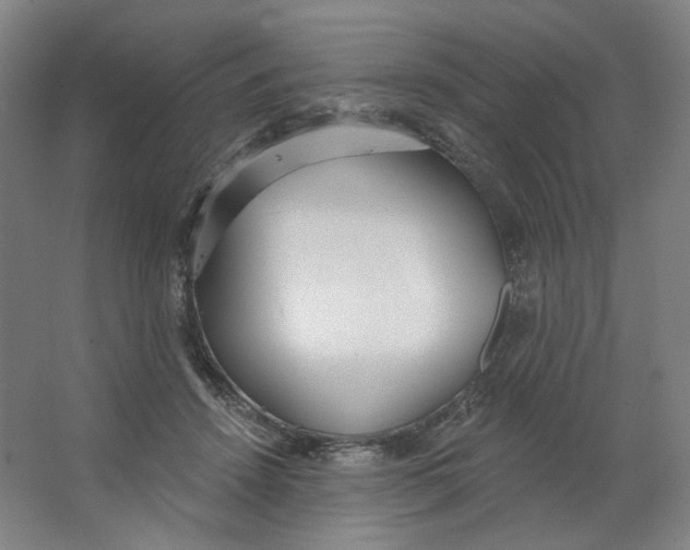 X0000063450456200602101653