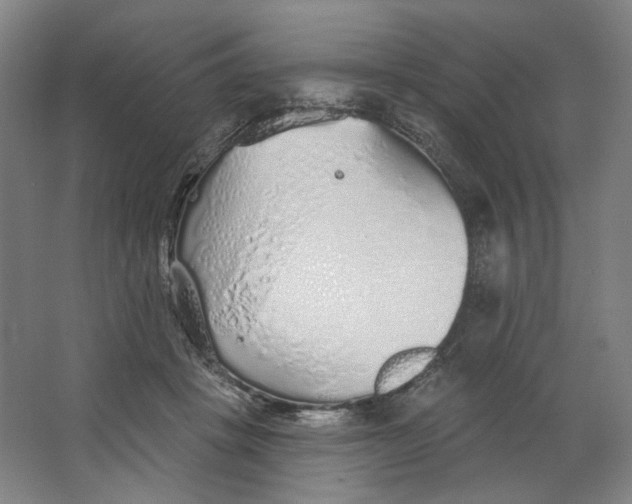 X0000063450457200602101653