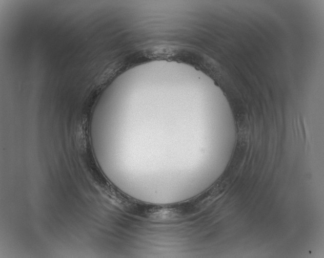 X0000063450460200602101653