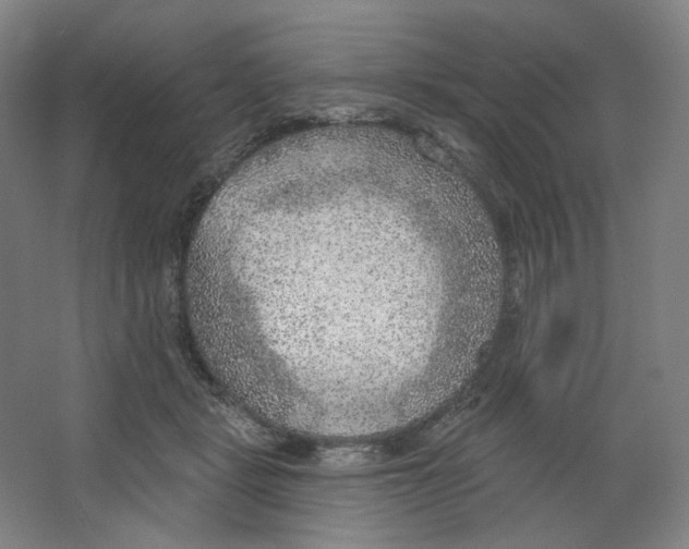 X0000063450461200602101653