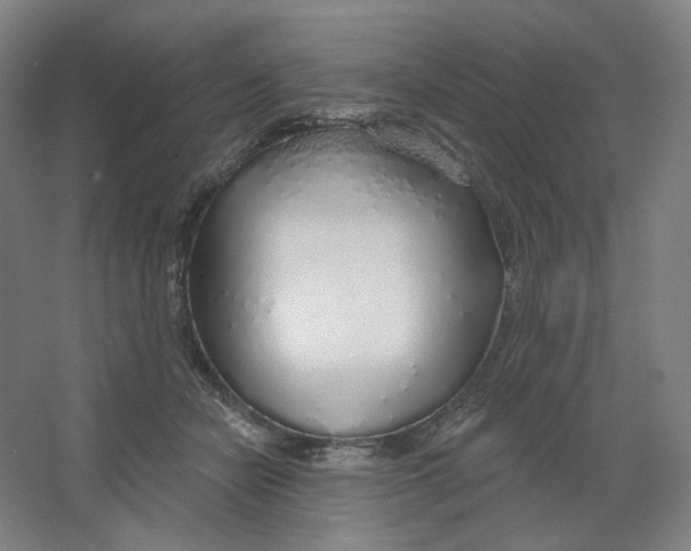 X0000063450462200602101653