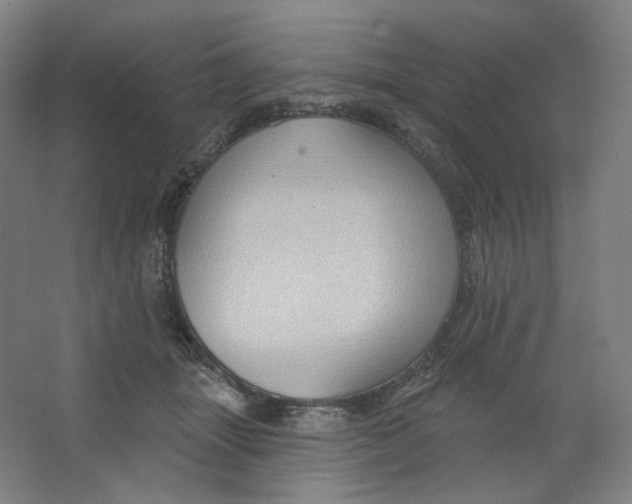 X0000063450463200602101653