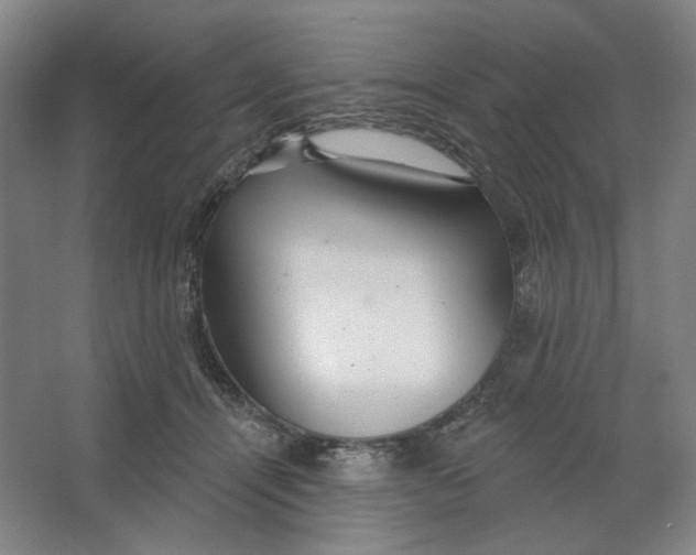 X0000063450464200602101653