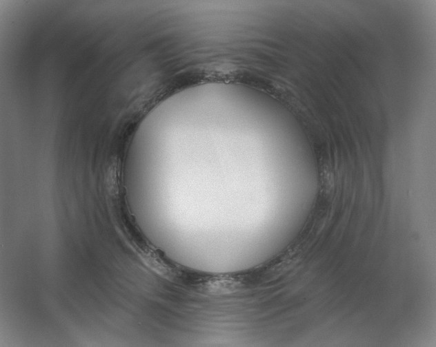 X0000063450468200602101653