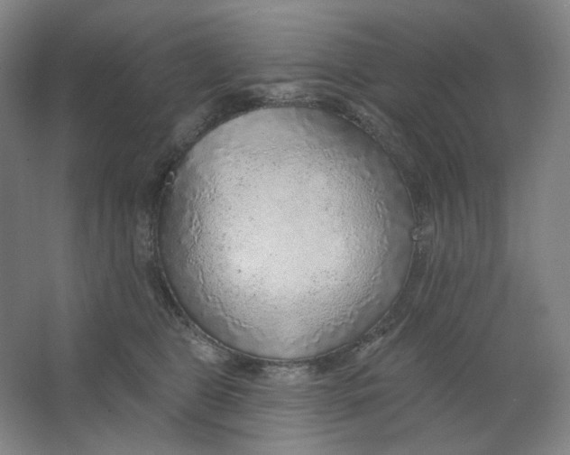 X0000063450469200602101653