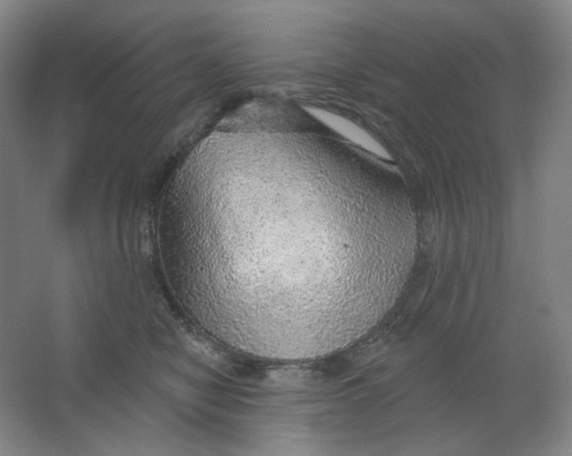 X0000063450470200602101653