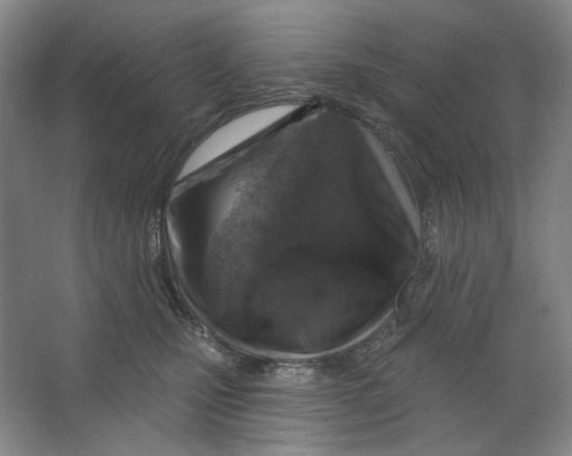 X0000063450471200602101653