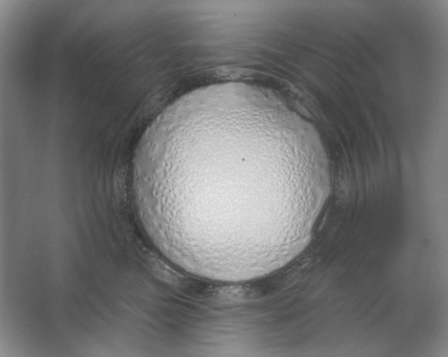 X0000063450473200602101653