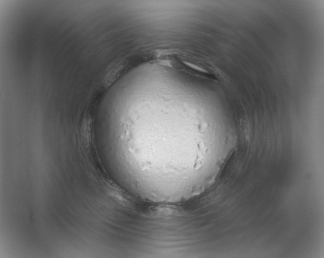 X0000063450475200602101653