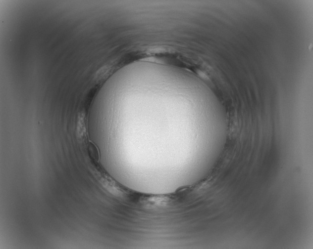 X0000063450478200602101653