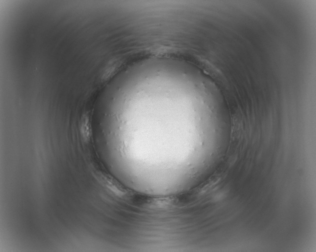 X0000063450479200602101653